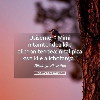 Picture 05 - Mithali 24:29 SWHULB - Usiseme, “ Mimi nitamtendea kile - Bible Verse Picture
