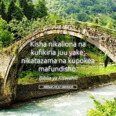 Picture 05 - Mithali 24:32 SWHULB - Kisha nikaliona na kufikiria juu yake; nikatazama - Bible Verse Picture