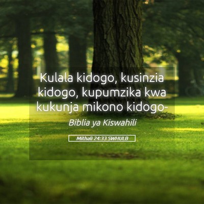Picture 05 - Mithali 24:33 SWHULB - Kulala kidogo, kusinzia kidogo, kupumzika kwa - Bible Verse Picture