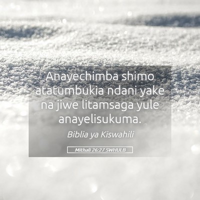 Picture 05 - Mithali 26:27 SWHULB - Anayechimba shimo atatumbukia ndani yake na jiwe - Bible Verse Picture