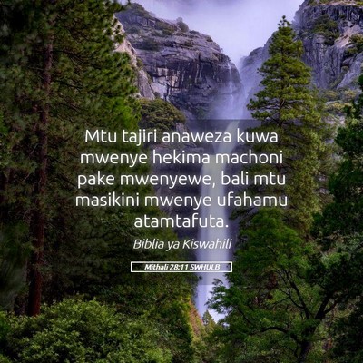 Picture 05 - Mithali 28:11 SWHULB - Mtu tajiri anaweza kuwa mwenye hekima machoni - Bible Verse Picture