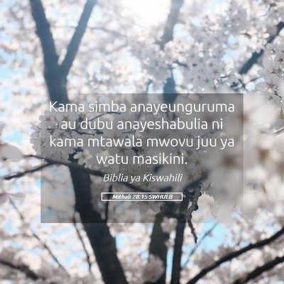 Picture 05 - Mithali 28:15 SWHULB - Kama simba anayeunguruma au dubu anayeshabulia ni - Bible Verse Picture
