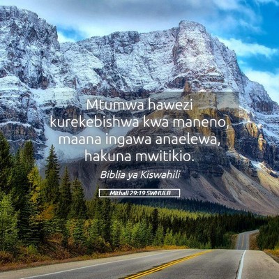 Picture 05 - Mithali 29:19 SWHULB - Mtumwa hawezi kurekebishwa kwa maneno, maana - Bible Verse Picture