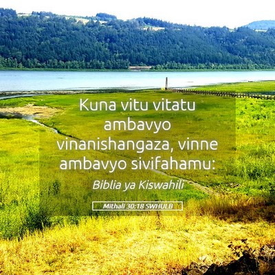 Picture 05 - Mithali 30:18 SWHULB - Kuna vitu vitatu ambavyo vinanishangaza, vinne - Bible Verse Picture