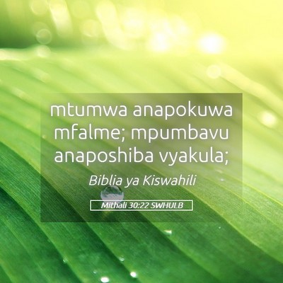 Picture 05 - Mithali 30:22 SWHULB - mtumwa anapokuwa mfalme; mpumbavu anaposhiba - Bible Verse Picture