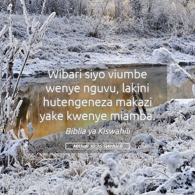 Picture 05 - Mithali 30:26 SWHULB - Wibari siyo viumbe wenye nguvu, lakini - Bible Verse Picture