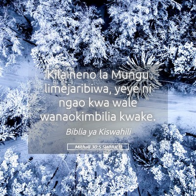Picture 05 - Mithali 30:5 SWHULB - Kila neno la Mungu limejaribiwa, yeye ni ngao kwa - Bible Verse Picture