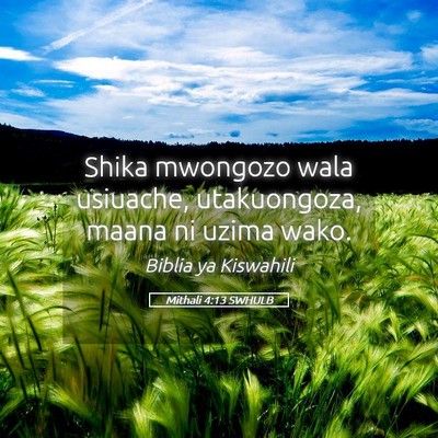 Picture 05 - Mithali 4:13 SWHULB - Shika mwongozo wala usiuache, utakuongoza, maana - Bible Verse Picture