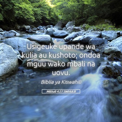 Picture 05 - Mithali 4:27 SWHULB - Usigeuke upande wa kulia au kushoto; ondoa mguu - Bible Verse Picture