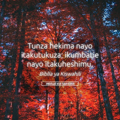 Picture 05 - Mithali 4:8 SWHULB - Tunza hekima nayo itakutukuza; ikumbatie nayo - Bible Verse Picture