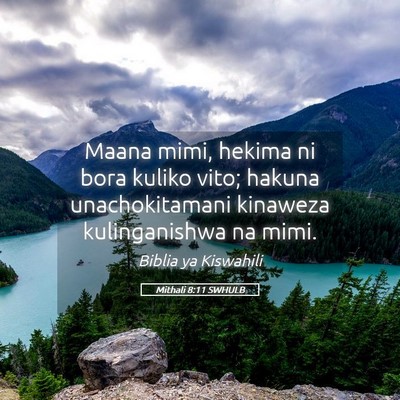 Picture 05 - Mithali 8:11 SWHULB - Maana mimi, hekima ni bora kuliko vito; hakuna - Bible Verse Picture
