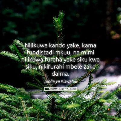 Picture 05 - Mithali 8:30 SWHULB - Nilikuwa kando yake, kama fundistadi mkuu, na - Bible Verse Picture