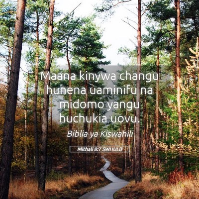 Picture 05 - Mithali 8:7 SWHULB - Maana kinywa changu hunena uaminifu na midomo - Bible Verse Picture