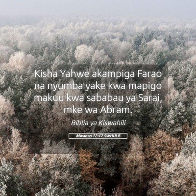 Picture 05 - Mwanzo 12:17 SWHULB - Kisha Yahwe akampiga Farao na nyumba yake kwa - Bible Verse Picture