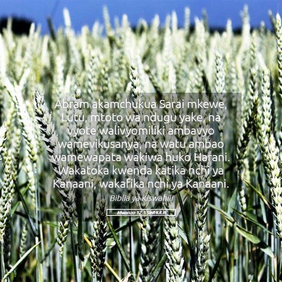 Picture 05 - Mwanzo 12:5 SWHULB - Abram akamchukua Sarai mkewe, Lutu, mtoto wa - Bible Verse Picture