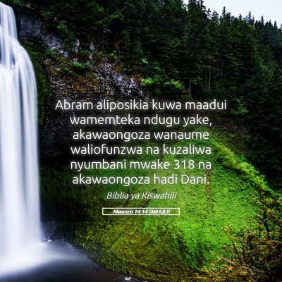 Picture 05 - Mwanzo 14:14 SWHULB - Abram aliposikia kuwa maadui wamemteka ndugu - Bible Verse Picture