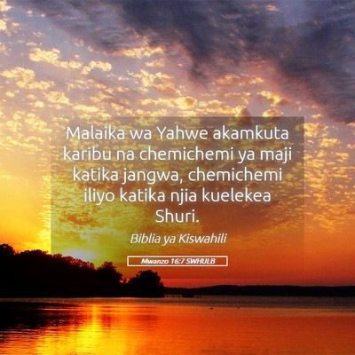 Picture 05 - Mwanzo 16:7 SWHULB - Malaika wa Yahwe akamkuta karibu na chemichemi ya - Bible Verse Picture