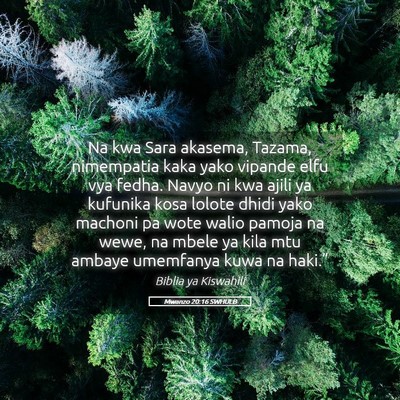 Picture 05 - Mwanzo 20:16 SWHULB - Na kwa Sara akasema, Tazama, nimempatia kaka yako - Bible Verse Picture