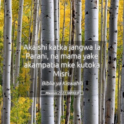 Picture 05 - Mwanzo 21:21 SWHULB - Akaishi katka jangwa la Parani, na mama yake - Bible Verse Picture