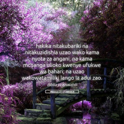 Picture 05 - Mwanzo 22:17 SWHULB - hakika nitakubariki na nitakuzidishia uzao wako - Bible Verse Picture
