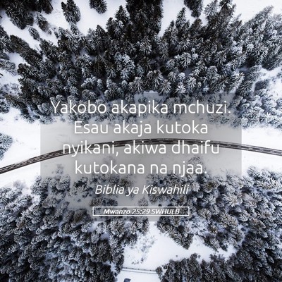 Picture 05 - Mwanzo 25:29 SWHULB - Yakobo akapika mchuzi. Esau akaja kutoka nyikani, - Bible Verse Picture