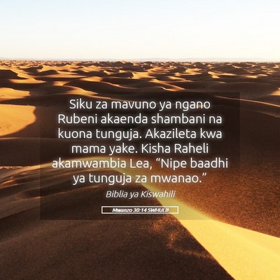 Picture 05 - Mwanzo 30:14 SWHULB - Siku za mavuno ya ngano Rubeni akaenda shambani - Bible Verse Picture