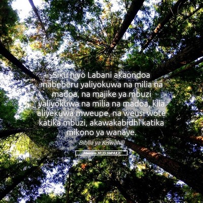 Picture 05 - Mwanzo 30:35 SWHULB - Siku hiyo Labani akaondoa mabeberu yaliyokuwa na - Bible Verse Picture