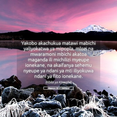 Picture 05 - Mwanzo 30:37 SWHULB - Yakobo akachukua matawi mabichi yaliyokatwa ya - Bible Verse Picture
