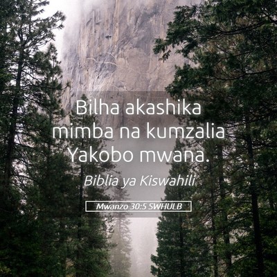 Picture 05 - Mwanzo 30:5 SWHULB - Bilha akashika mimba na kumzalia Yakobo - Bible Verse Picture
