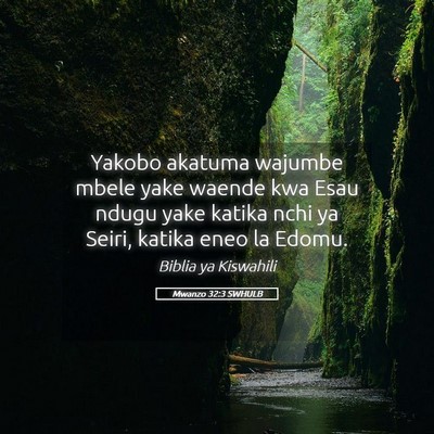 Picture 05 - Mwanzo 32:3 SWHULB - Yakobo akatuma wajumbe mbele yake waende kwa Esau - Bible Verse Picture