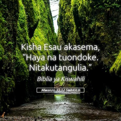 Picture 05 - Mwanzo 33:12 SWHULB - Kisha Esau akasema, “Haya na tuondoke. - Bible Verse Picture