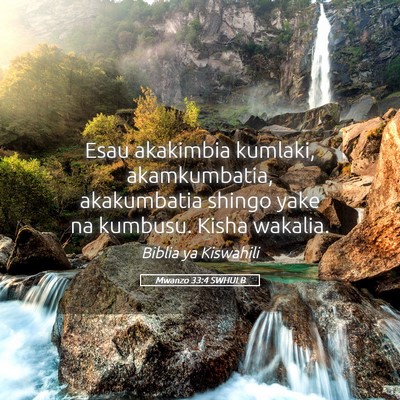 Picture 05 - Mwanzo 33:4 SWHULB - Esau akakimbia kumlaki, akamkumbatia, akakumbatia - Bible Verse Picture