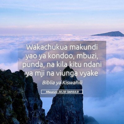 Picture 05 - Mwanzo 34:28 SWHULB - Wakachukua makundi yao ya kondoo, mbuzi, punda, - Bible Verse Picture