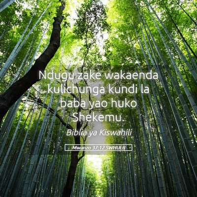 Picture 05 - Mwanzo 37:12 SWHULB - Ndugu zake wakaenda kulichunga kundi la baba yao - Bible Verse Picture