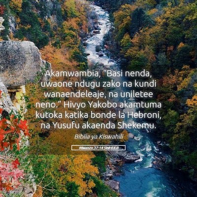 Picture 05 - Mwanzo 37:14 SWHULB - Akamwambia, “Basi nenda, uwaone ndugu zako na - Bible Verse Picture