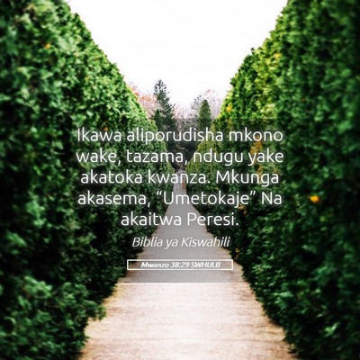 Picture 05 - Mwanzo 38:29 SWHULB - Ikawa aliporudisha mkono wake, tazama, ndugu yake - Bible Verse Picture