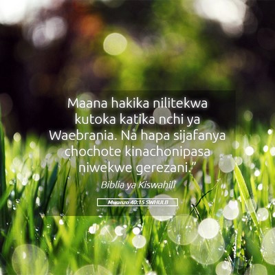 Picture 05 - Mwanzo 40:15 SWHULB - Maana hakika nilitekwa kutoka katika nchi ya - Bible Verse Picture