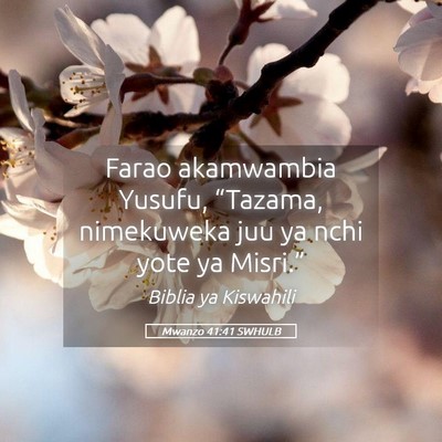 Picture 05 - Mwanzo 41:41 SWHULB - Farao akamwambia Yusufu, “Tazama, nimekuweka - Bible Verse Picture