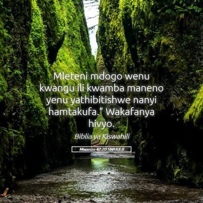 Picture 05 - Mwanzo 42:20 SWHULB - Mleteni mdogo wenu kwangu ili kwamba maneno yenu - Bible Verse Picture