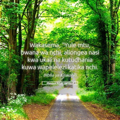 Picture 05 - Mwanzo 42:30 SWHULB - Wakasema, “Yule mtu, bwana wa nchi, aliongea - Bible Verse Picture