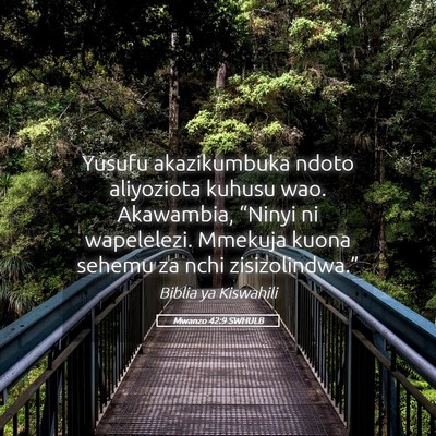 Picture 05 - Mwanzo 42:9 SWHULB - Yusufu akazikumbuka ndoto aliyoziota kuhusu wao. - Bible Verse Picture