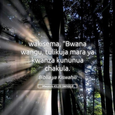 Picture 05 - Mwanzo 43:20 SWHULB - wakisema, “Bwana wangu, tulikuja mara ya kwanza - Bible Verse Picture