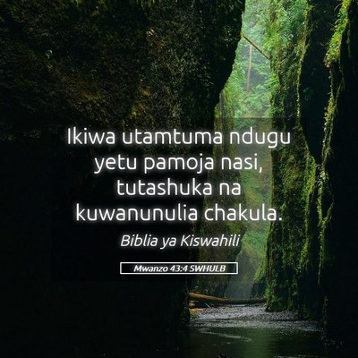 Picture 05 - Mwanzo 43:4 SWHULB - Ikiwa utamtuma ndugu yetu pamoja nasi, tutashuka - Bible Verse Picture