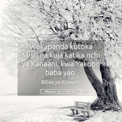 Picture 05 - Mwanzo 45:25 SWHULB - Wakapanda kutoka Misri na kuja katika nchi ya - Bible Verse Picture