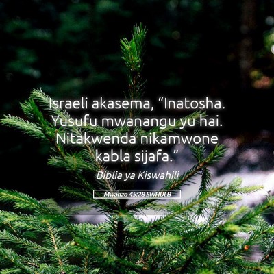 Picture 05 - Mwanzo 45:28 SWHULB - Israeli akasema, “Inatosha. Yusufu mwanangu yu - Bible Verse Picture