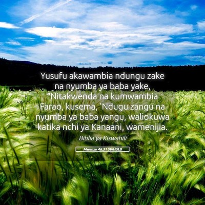 Picture 05 - Mwanzo 46:31 SWHULB - Yusufu akawambia ndungu zake na nyumba ya baba - Bible Verse Picture