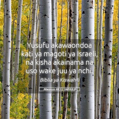 Picture 05 - Mwanzo 48:12 SWHULB - Yusufu akawaondoa kati ya magoti ya Israeli, na - Bible Verse Picture