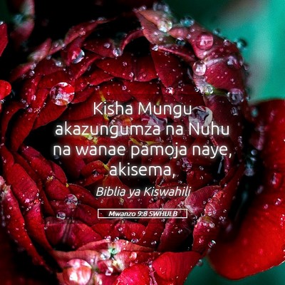 Picture 05 - Mwanzo 9:8 SWHULB - Kisha Mungu akazungumza na Nuhu na wanae pamoja - Bible Verse Picture