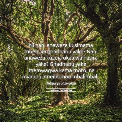 Picture 05 - Nahumu 1:6 SWHULB - Ni nani anaweza kusimama mbele ya ghadhabu yake? - Bible Verse Picture