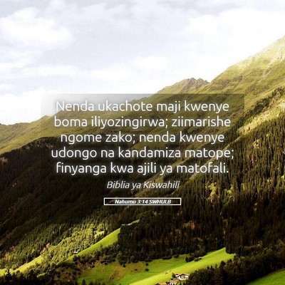 Picture 05 - Nahumu 3:14 SWHULB - Nenda ukachote maji kwenye boma iliyozingirwa; - Bible Verse Picture